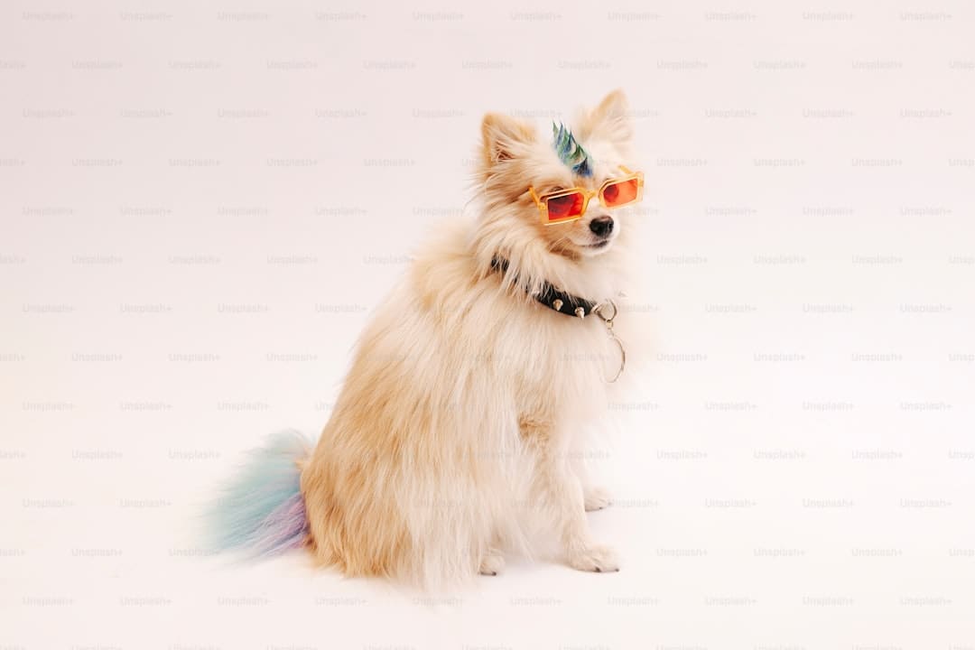 《献鱼》原著神交是什么意思?
